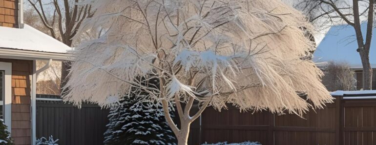 Ways to Protect Trees and Shrubs in Winter