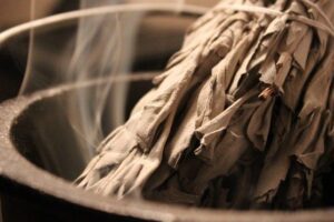 The Science of Smudging: This Is What Sage Does to Bacteria in the Air