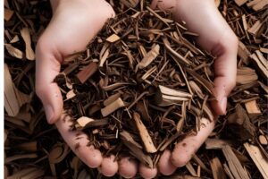 9 Best Types of Organic Mulch: Enriching Your Garden Naturally