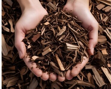 9 Best Types of Organic Mulch: Enriching Your Garden Naturally