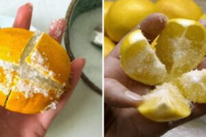 Cut a Lemon in 4, Add Salt and Place it in Your Room: The Lemon and Salt Trick You’ll Love