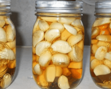 Garlic, ACV, and Honey: The Winning Combo for Cholesterol, Obesity, Indigestion, and More