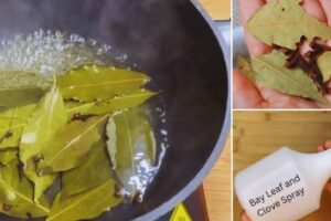 A Breath of Fresh Air: Natural Ways to Keep Pests at Bay (RECIPE)