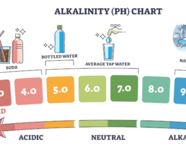 The Most Alkaline Foods on the Planet (And How It Changed My Health)