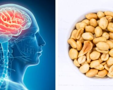 If You Eat Peanuts Every Day, This Is What Happens to Your Brain and Energy Levels