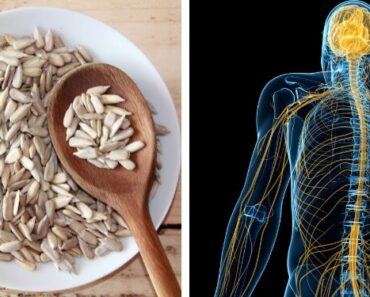 What Happens to Your Body and Skin When You Eat Sunflower Seeds Every Day