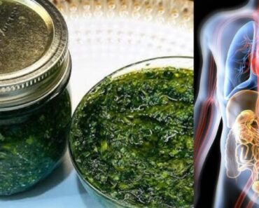 How to Cleanse Your Kidneys and Liver Naturally for a Stronger Immune System