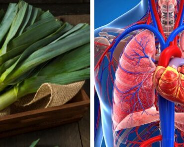 Leeks: The Forgotten Superfood That Supports Heart, Gut & Detox Health