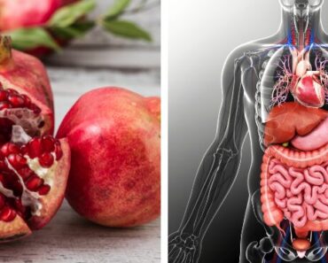 From Glowing Skin to a Strong Heart: 10 Science-Backed Reasons Pomegranates Are Pure Health Gold